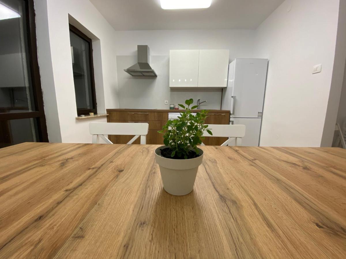 Sobe Kaki In Kivi Hostel Izola Kültér fotó